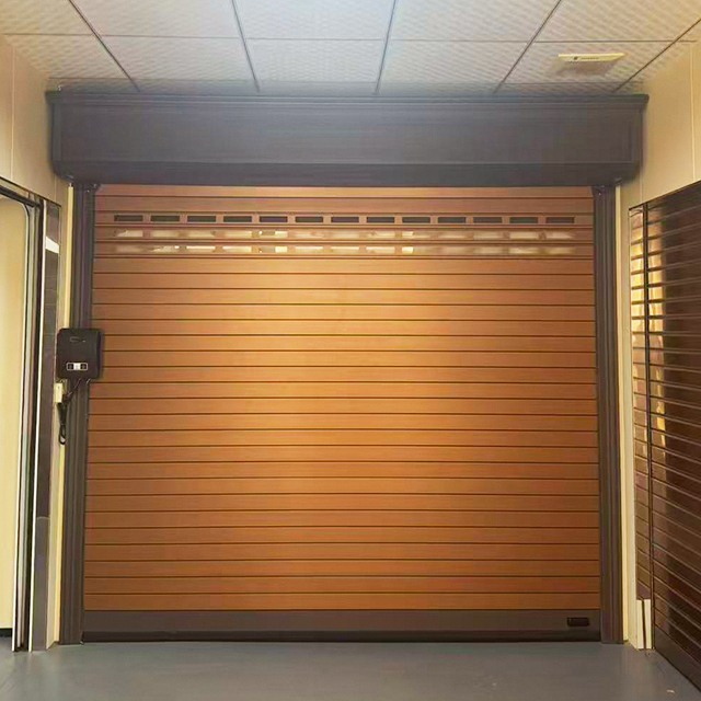 Aluminum roller shutter doors Portes à volets roulants en aluminium